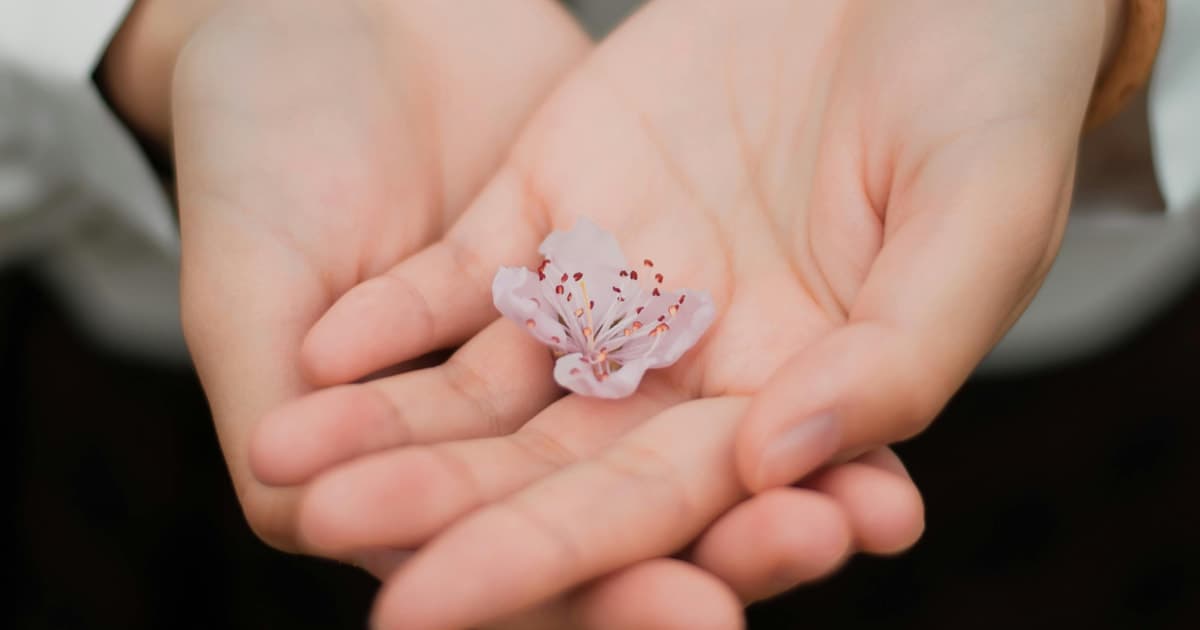 60 Affirmations for Forgiveness: Release the Past and Free Yourself